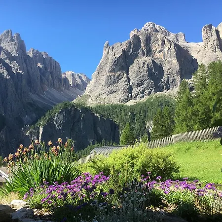 Ciasa Roenn Kolfuschg